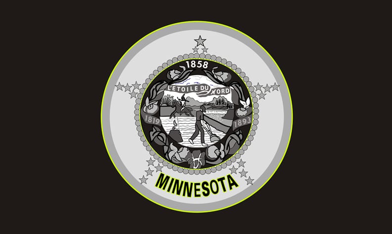 Minnesota State Flag
