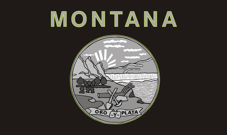 Montana State Flag